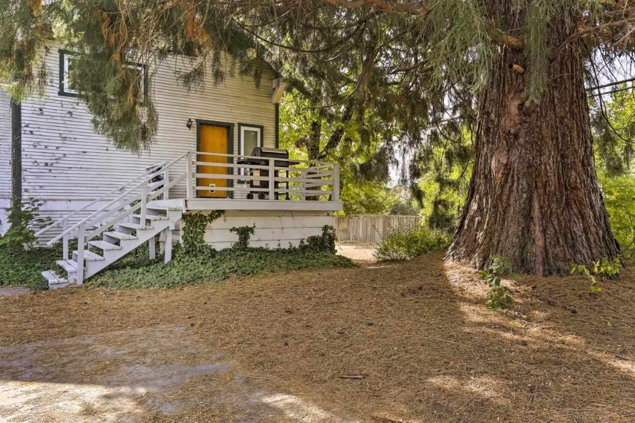 Cozy Studio Near Hiking And Skiing, Walk To Downtown Mount Shasta Exterior photo